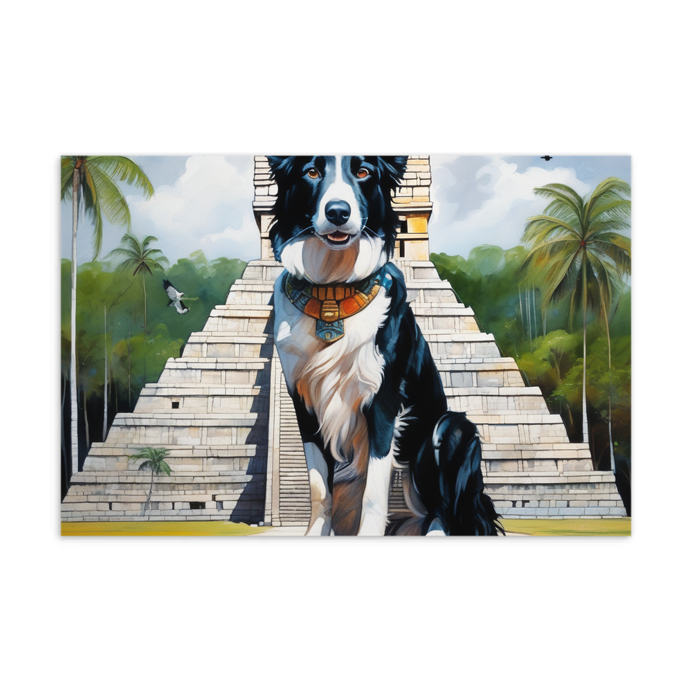 PugMug Custom Border Collie Postcard