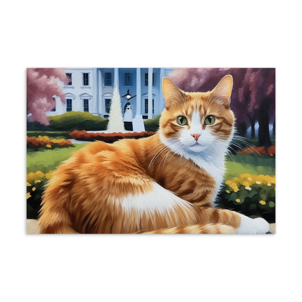 PugMug Custom Jack Jack Postcard