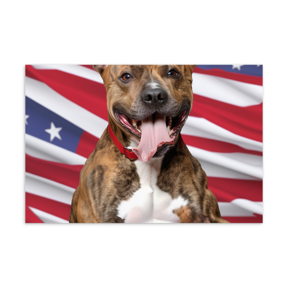 PugMug Custom Tony Hawk Postcard