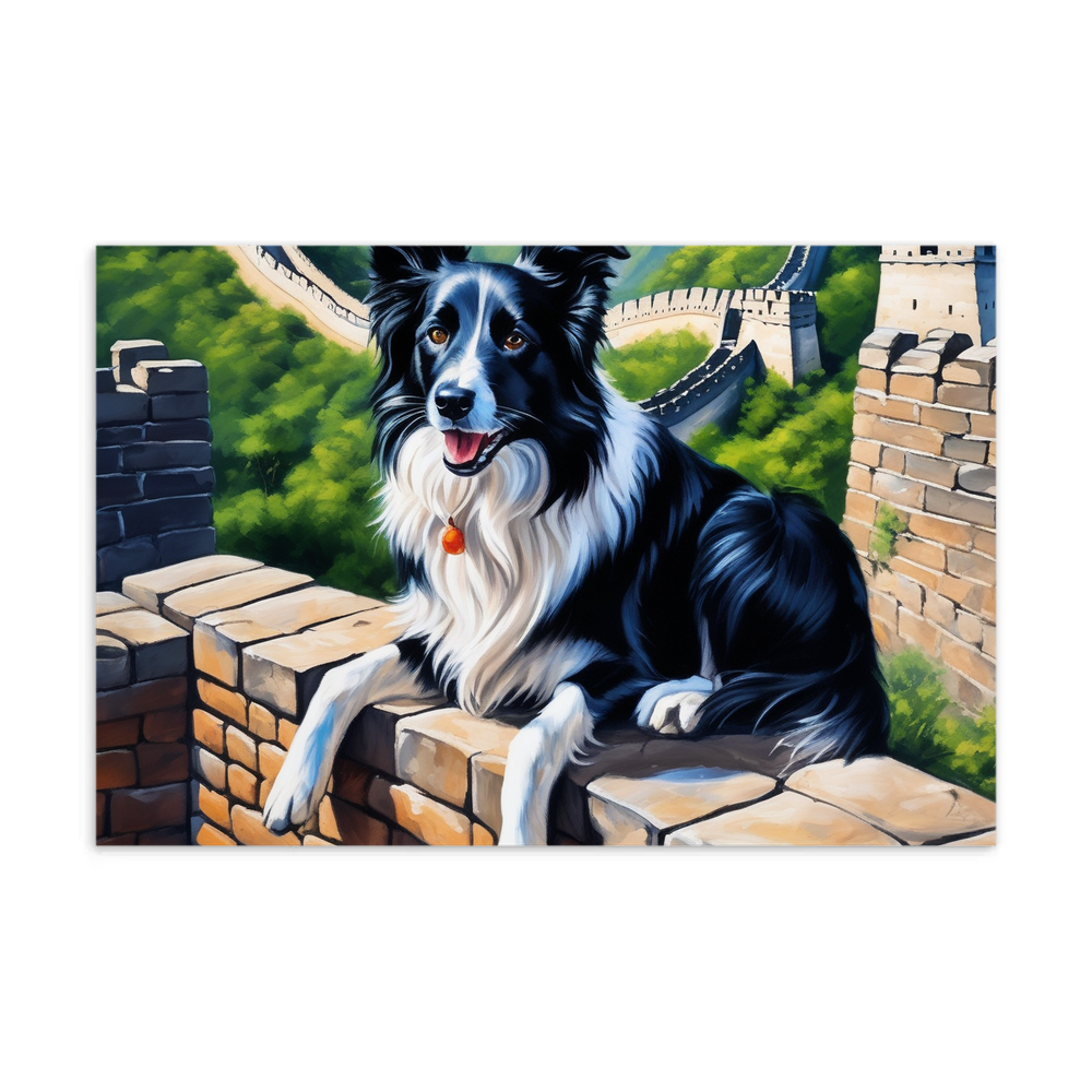 PugMug Custom Border Collie Postcard