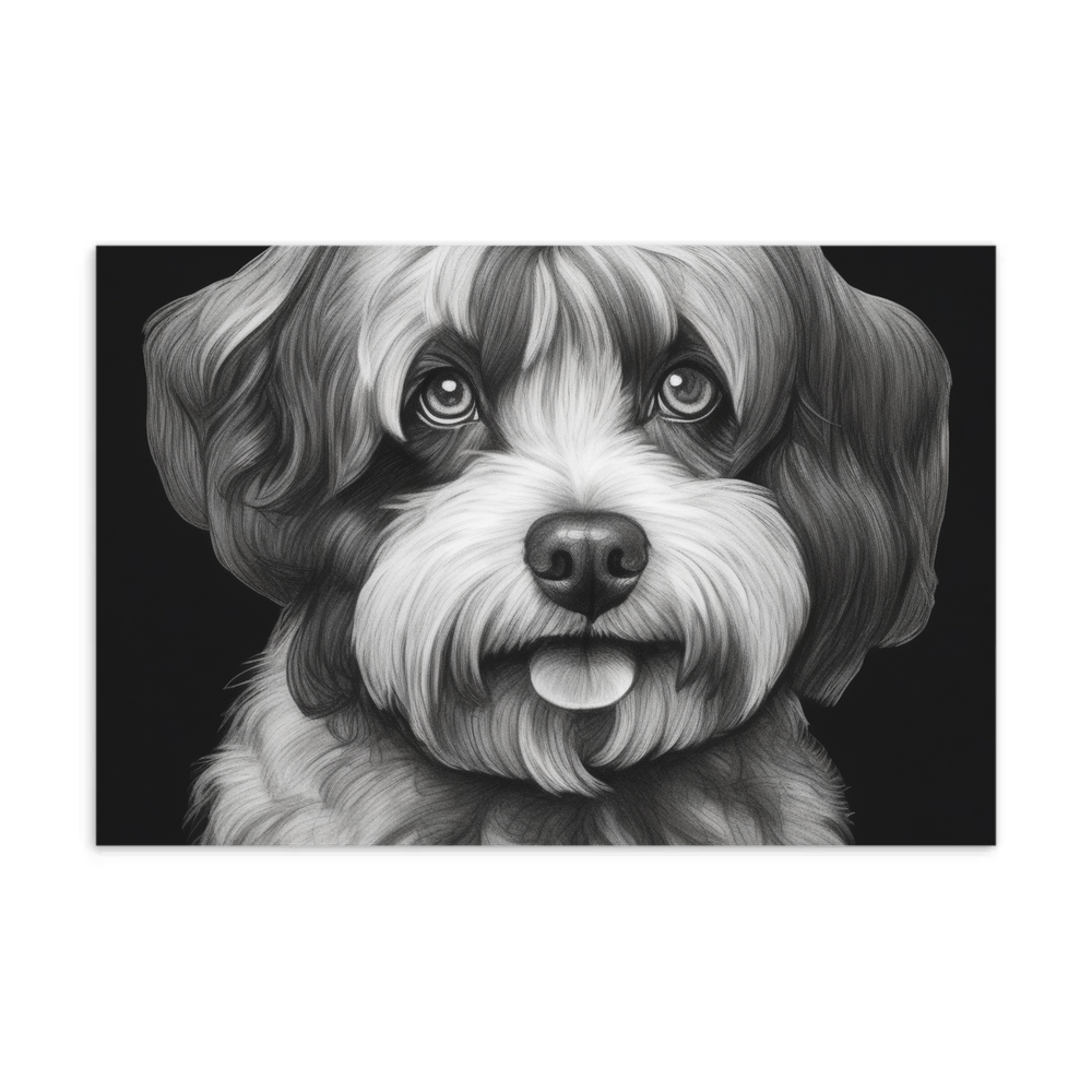 PugMug Custom Black-and-white Havanese Dog Postcard