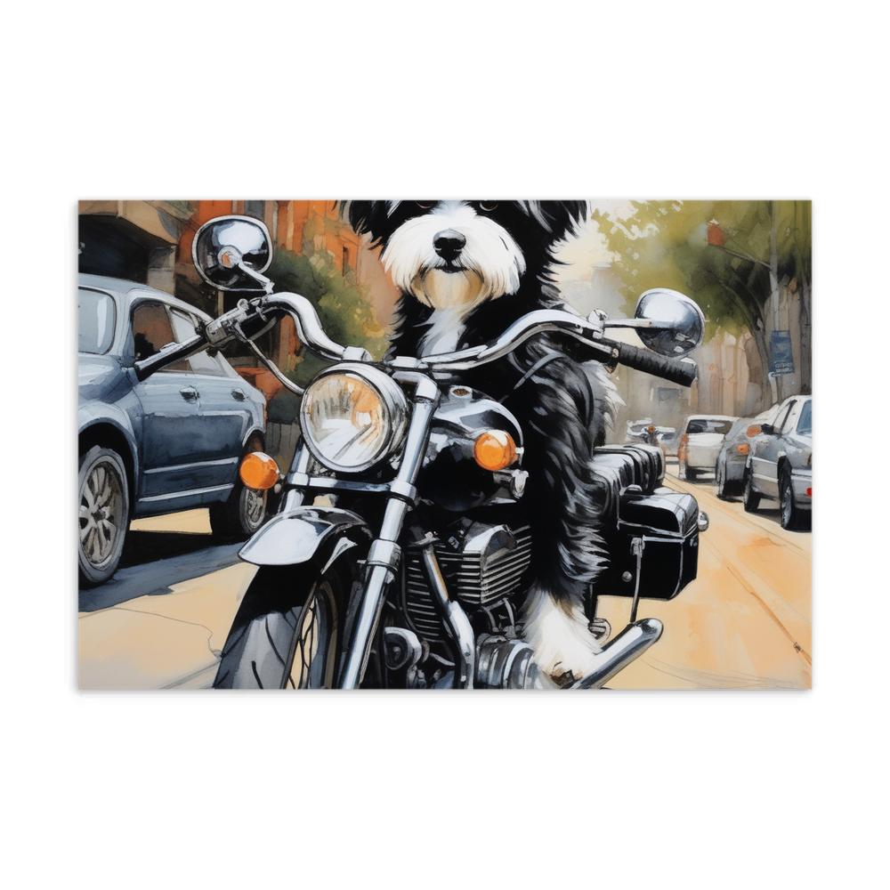 PugMug Custom Black-and-white Havanese Dog Postcard