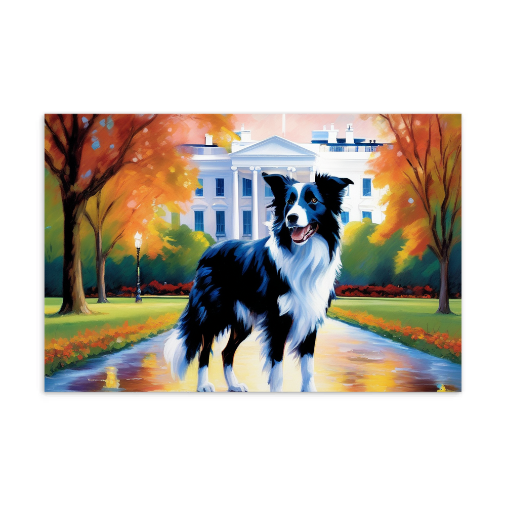 PugMug Custom Border Collie Postcard