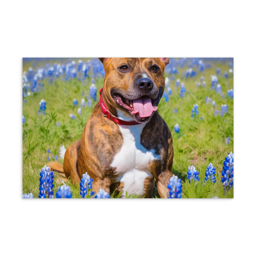 PugMug Custom Tony Hawk Postcard