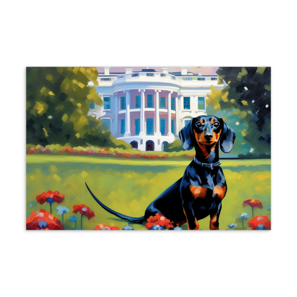 PugMug Custom Black Dachshund Postcard