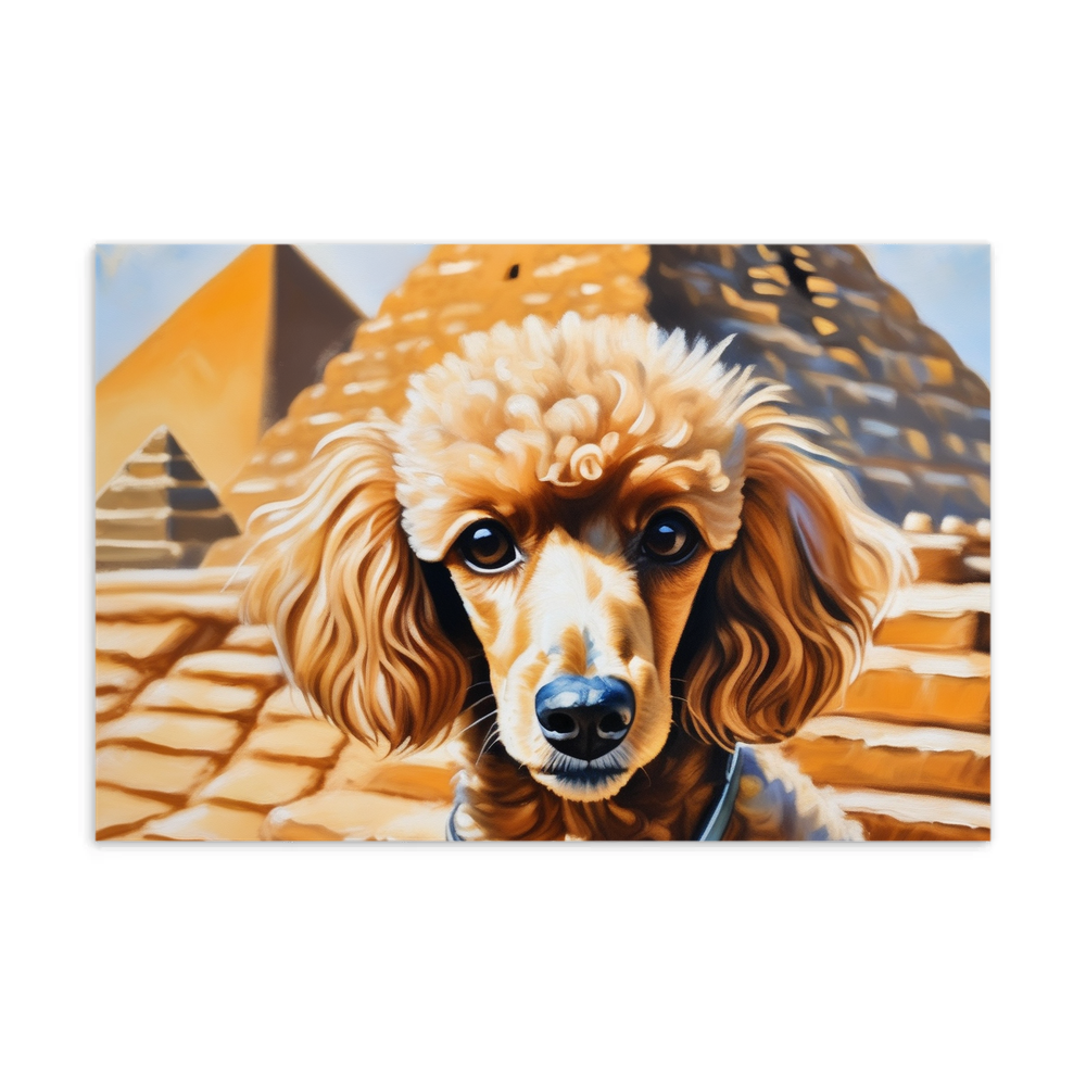 PugMug Custom Tan Poodle Postcard