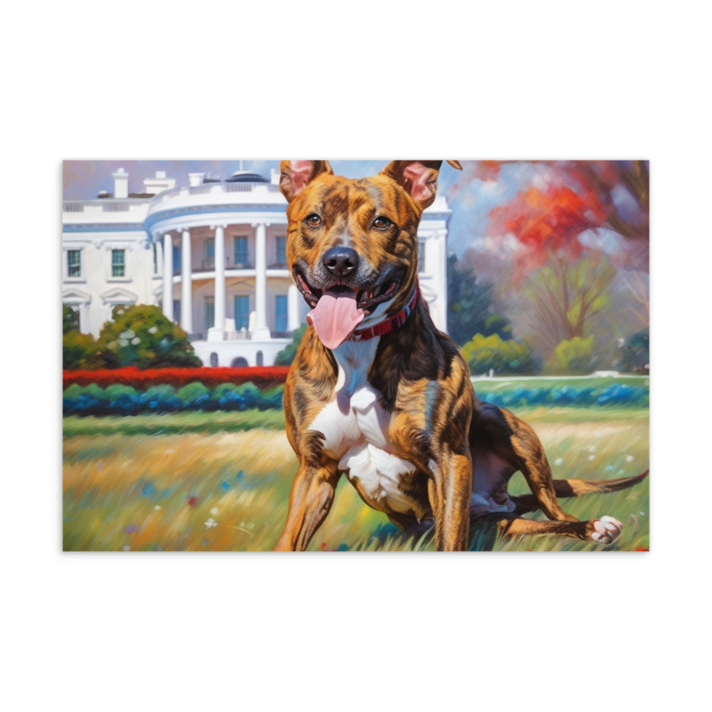 PugMug Custom Tony Hawk Postcard