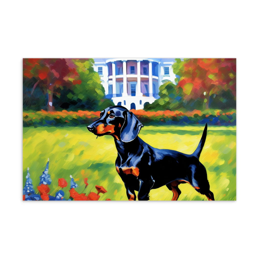 PugMug Custom Black Dachshund Postcard