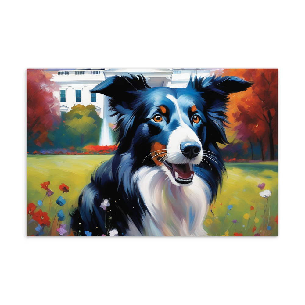 PugMug Custom Border Collie Postcard