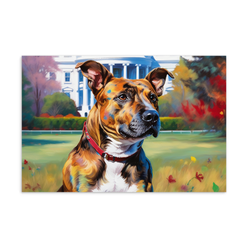 PugMug Custom Tony Hawk Postcard