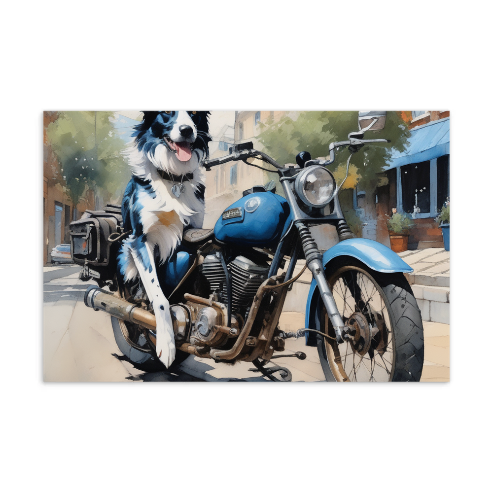 PugMug Custom Blue Merle Border Collie Postcard