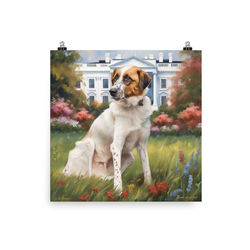 PugMug Custom Hazim Poster