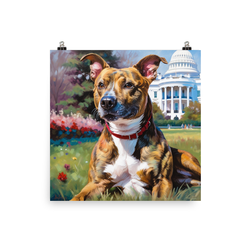 PugMug Custom Tony Hawk Poster