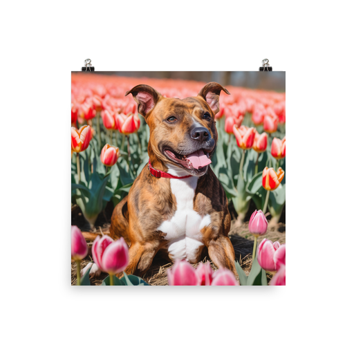 PugMug Custom Tony Hawk Poster