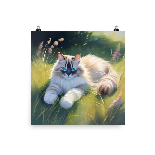 PugMug Custom Tabby Ragdoll Cat Poster