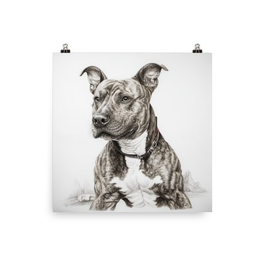 PugMug Custom Tony Hawk Poster