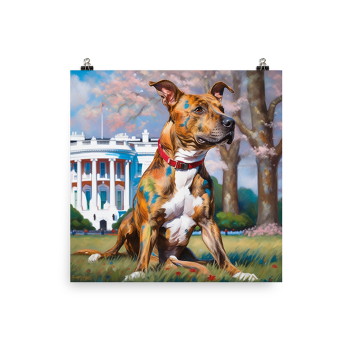 PugMug Custom Tony Hawk Poster