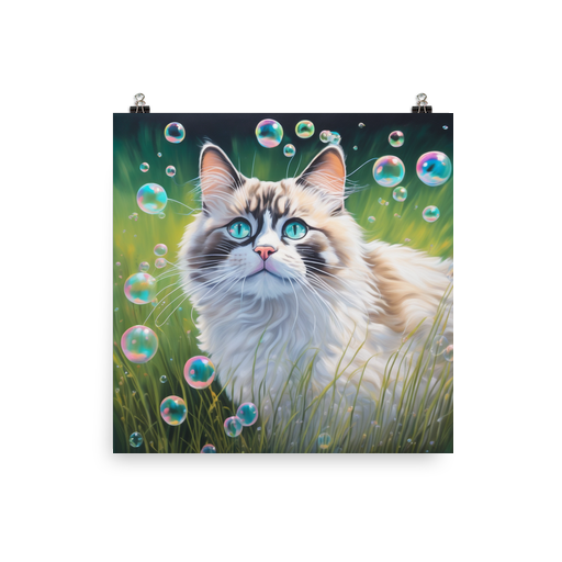 PugMug Custom Tabby Ragdoll Cat Poster