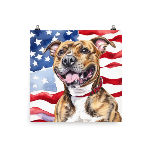 PugMug Custom Tony Hawk Poster