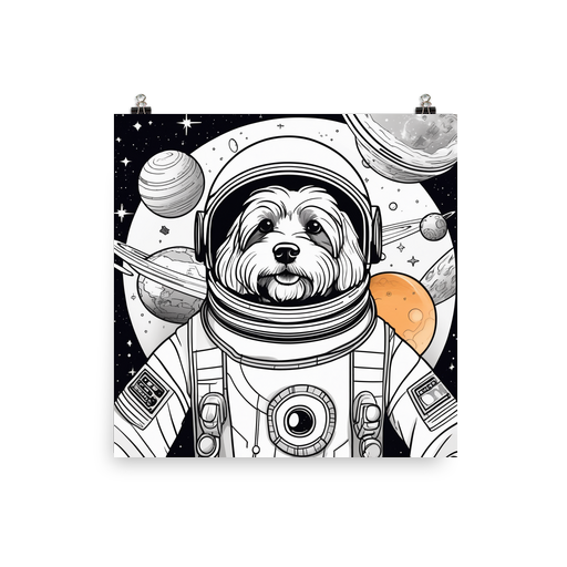 PugMug Custom Black-and-white Havanese Dog Poster