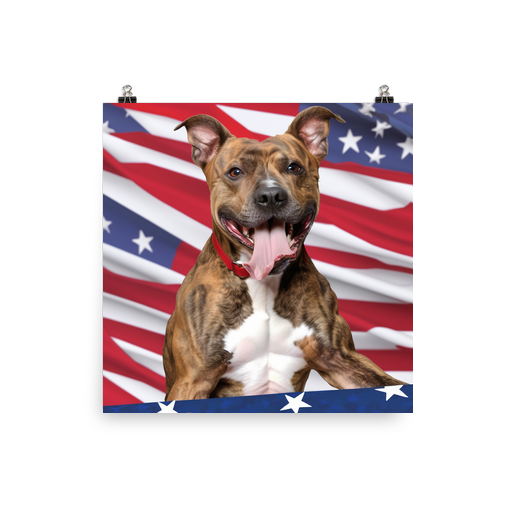 PugMug Custom Tony Hawk Poster