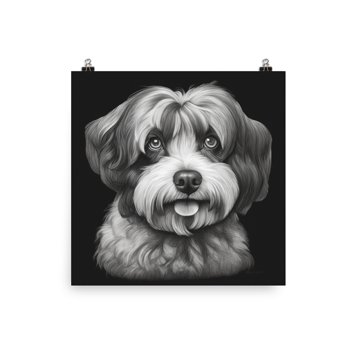 PugMug Custom Black-and-white Havanese Dog Poster