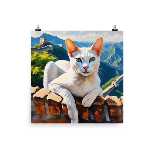 PugMug Custom White Abyssinian Cat Poster