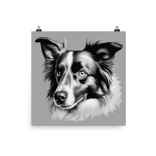 PugMug Custom Blue Merle Border Collie Poster