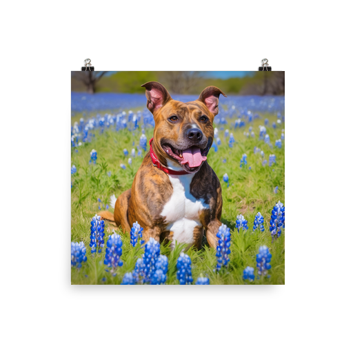 PugMug Custom Tony Hawk Poster