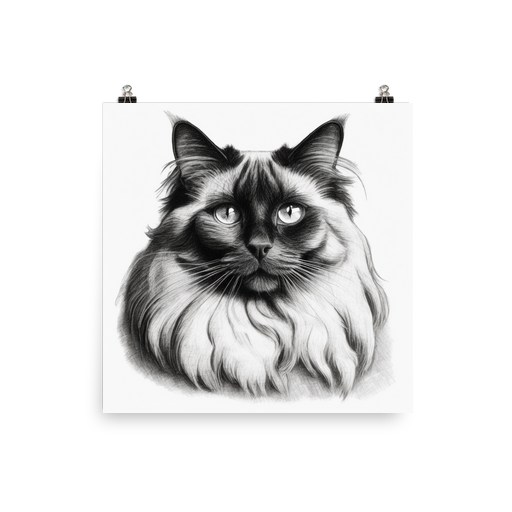 PugMug Custom Black Ragdoll Cat Poster