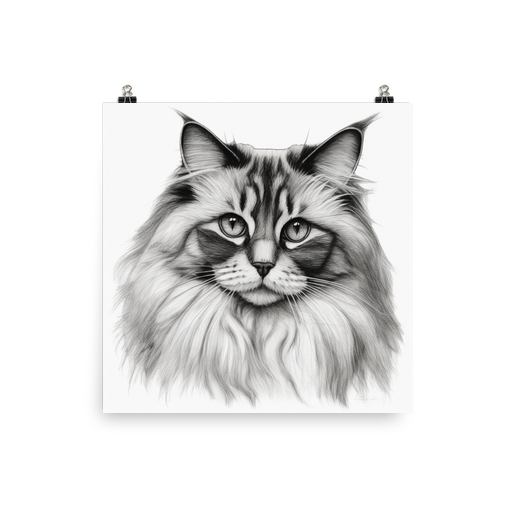 PugMug Custom Tabby Ragdoll Cat Poster