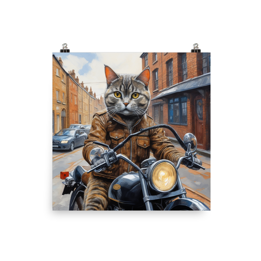 PugMug Custom Tabby British Shorthair Cat Poster