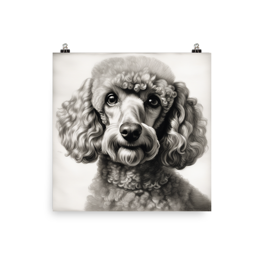 PugMug Custom Tan Poodle Poster