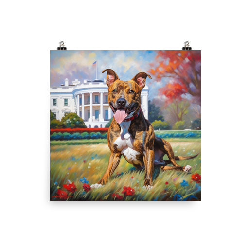 PugMug Custom Tony Hawk Poster