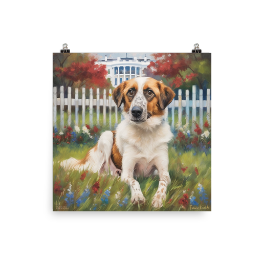 PugMug Custom Hazim Poster