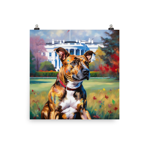 PugMug Custom Tony Hawk Poster