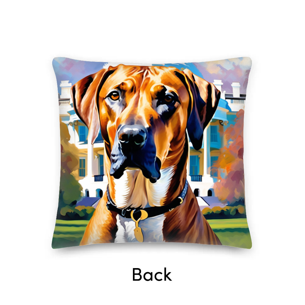 Premium Pillow