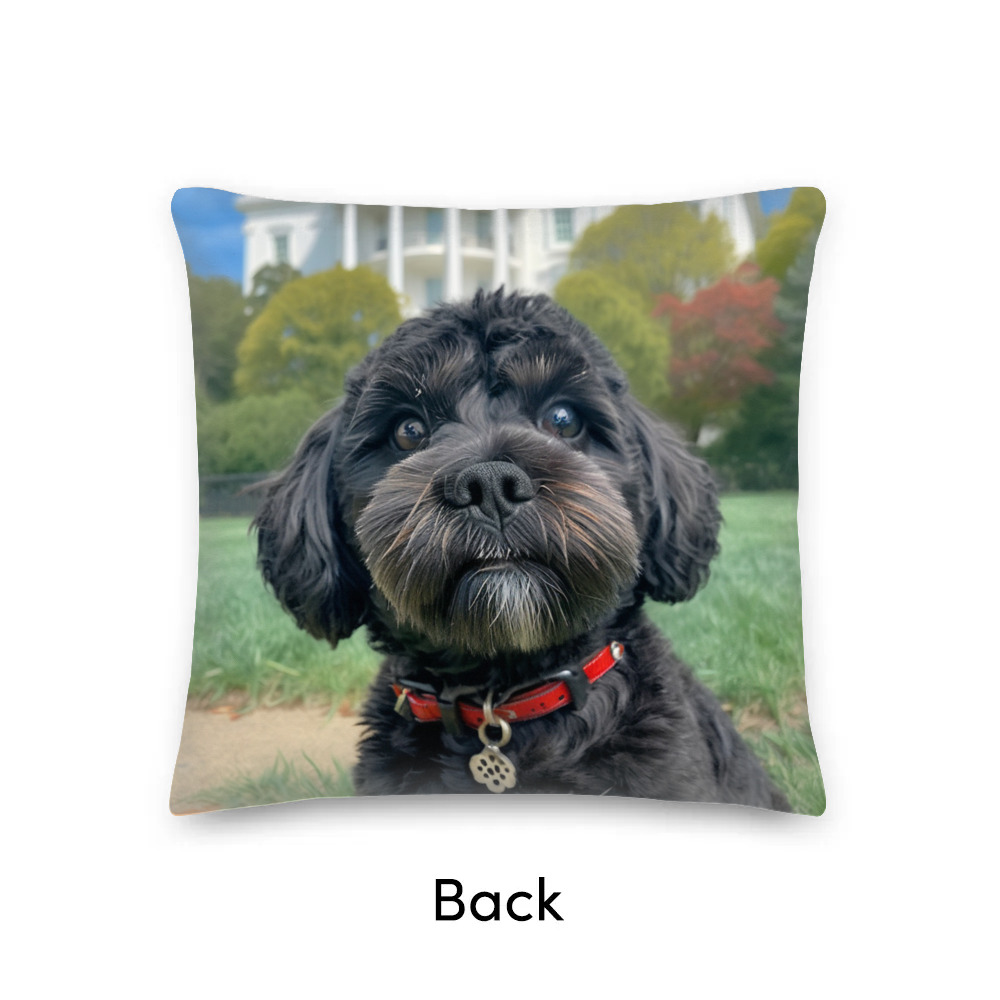 Premium Pillow