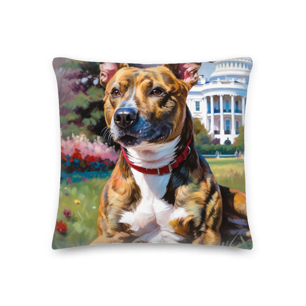 PugMug Custom Tony Hawk Premium Pillow