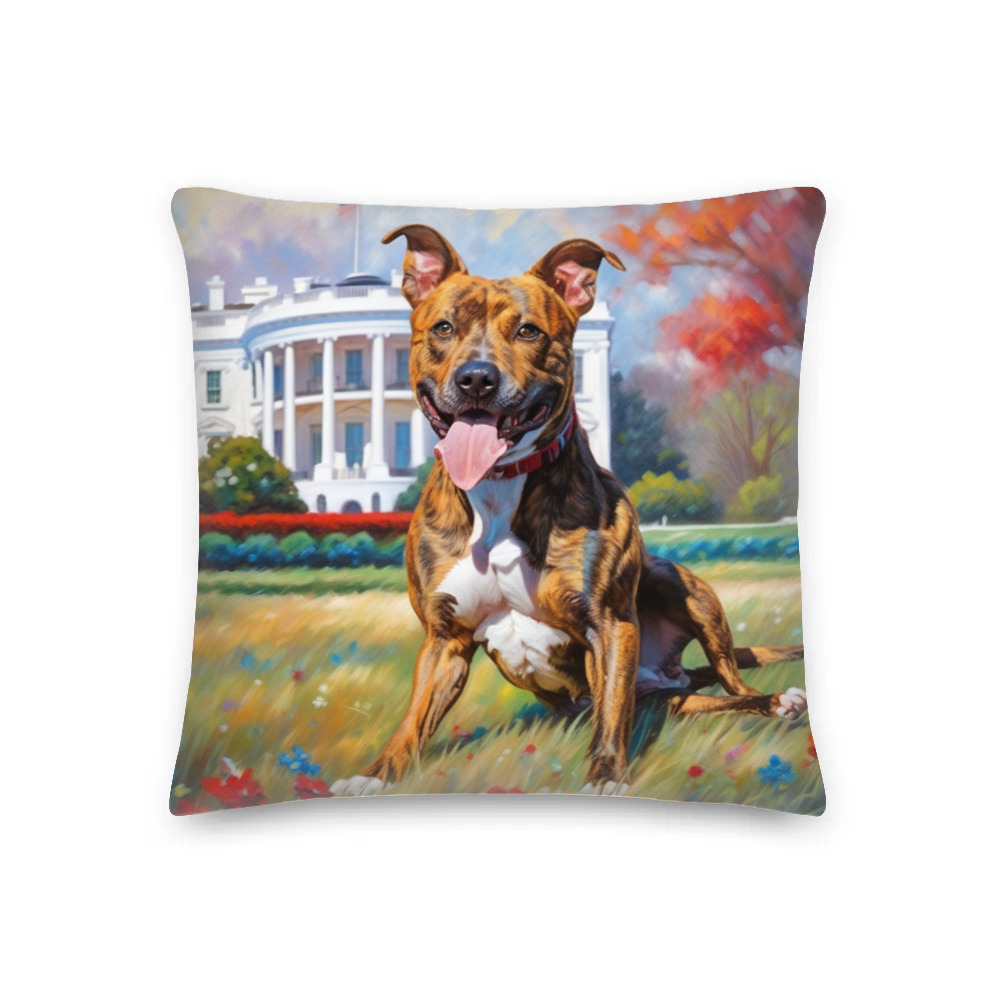 PugMug Custom Tony Hawk Premium Pillow