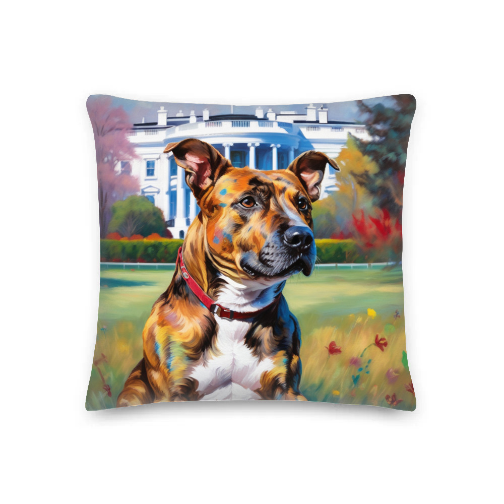 PugMug Custom Tony Hawk Premium Pillow