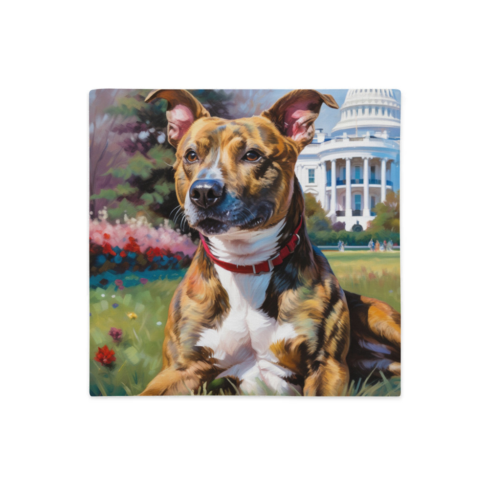 PugMug Custom Tony Hawk Premium Pillow Case