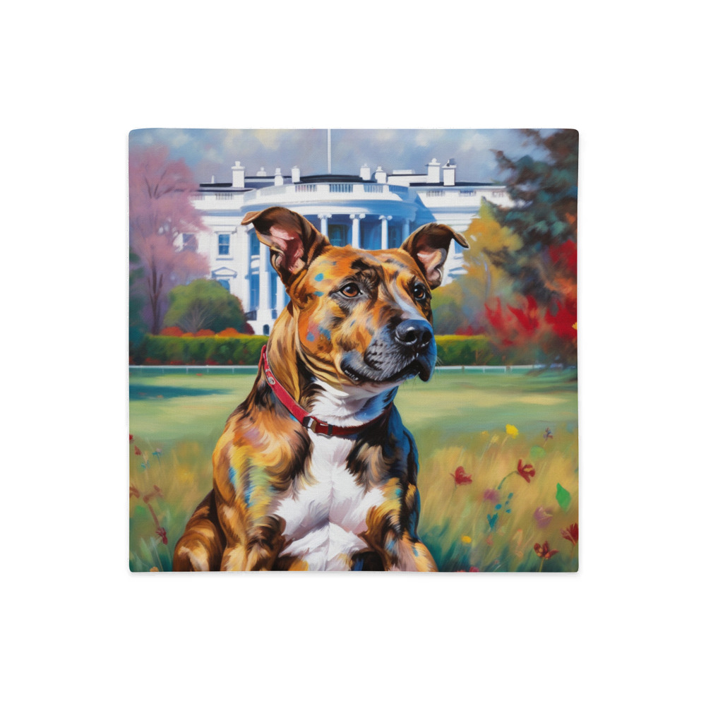 PugMug Custom Tony Hawk Premium Pillow Case