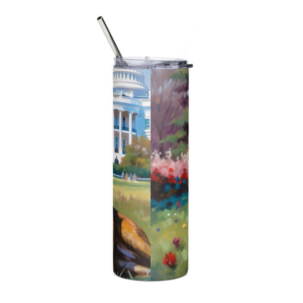 Stainless Steel Tumbler