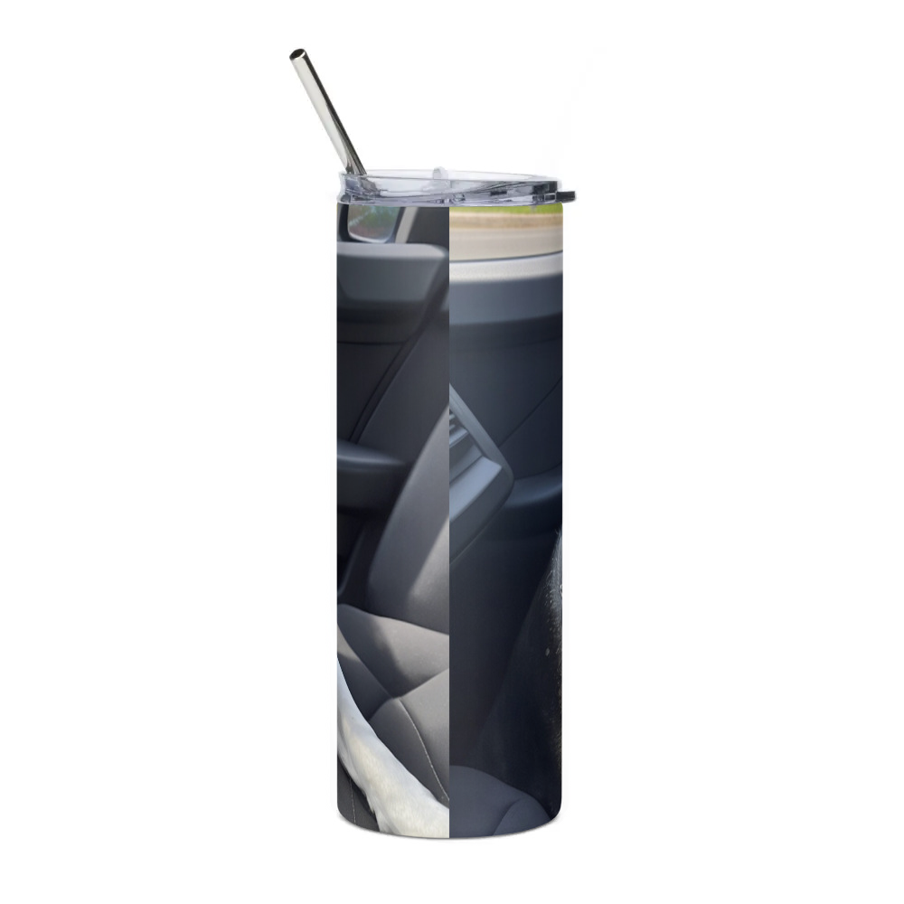 Stainless Steel Tumbler