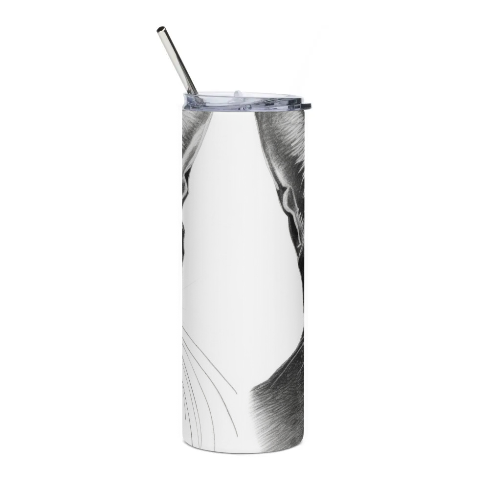 Stainless Steel Tumbler