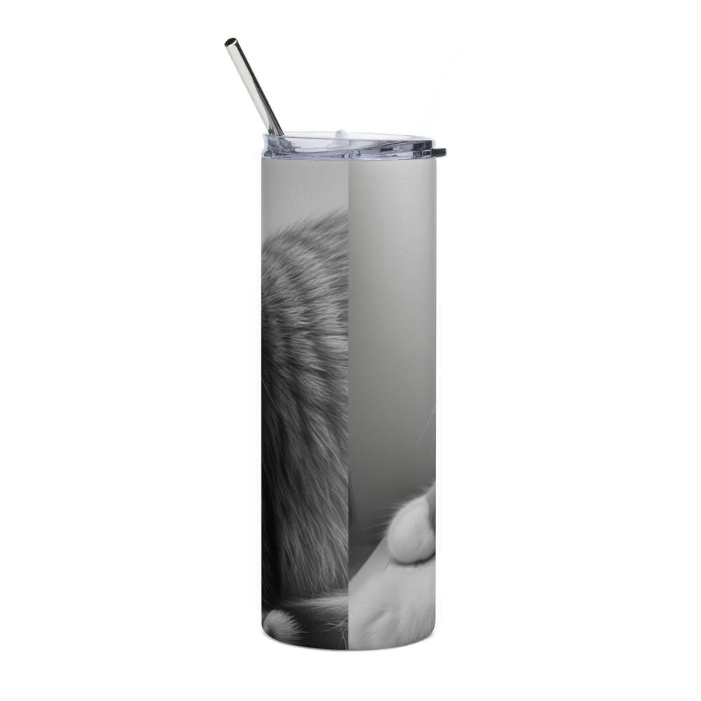 Stainless Steel Tumbler