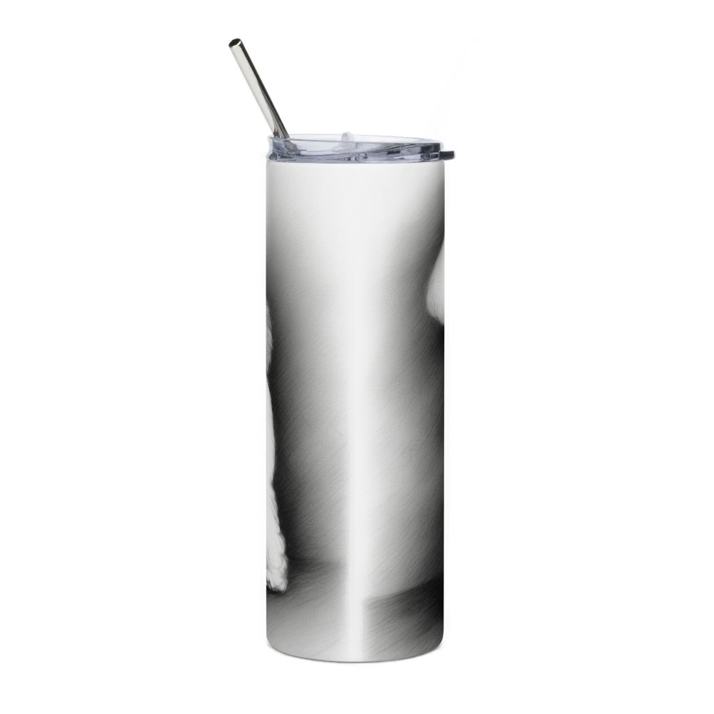 Stainless Steel Tumbler