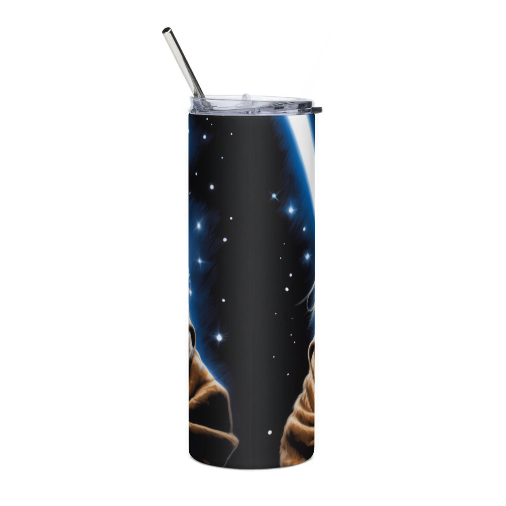 Stainless Steel Tumbler