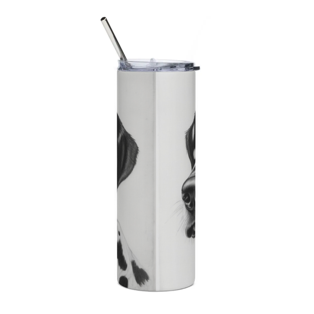 Stainless Steel Tumbler